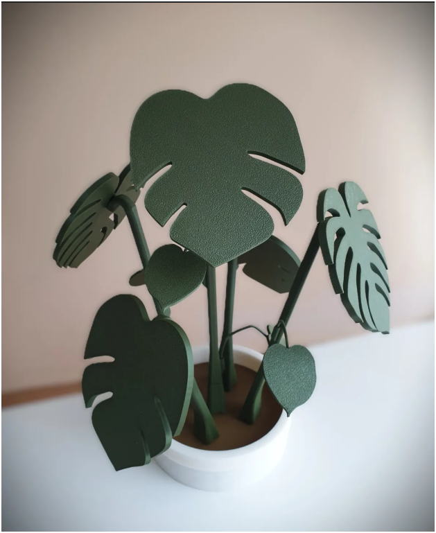 🌿 Monstera Leaf Coaster